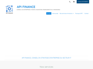 API FINANCE Paris 8, Conseil aux entreprises