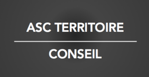 ASC Territoire Conseil Paris 9, Consultant