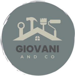 Giovaniandco Parmain, Professionnel indépendant