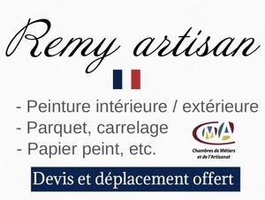 Stevie Remy Paris 15, Professionnel indépendant