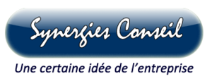 Synergies Conseils Versailles, Conseil aux entreprises