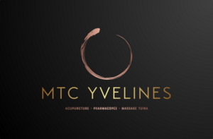 Mathieu Renault  Meulan-en-Yvelines, Acupuncteur